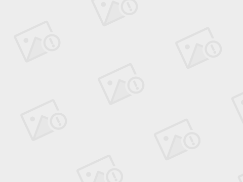 纽卡斯尔连续两连败,客场负于布莱顿 纽卡斯尔连续两连败,客场负于布莱顿