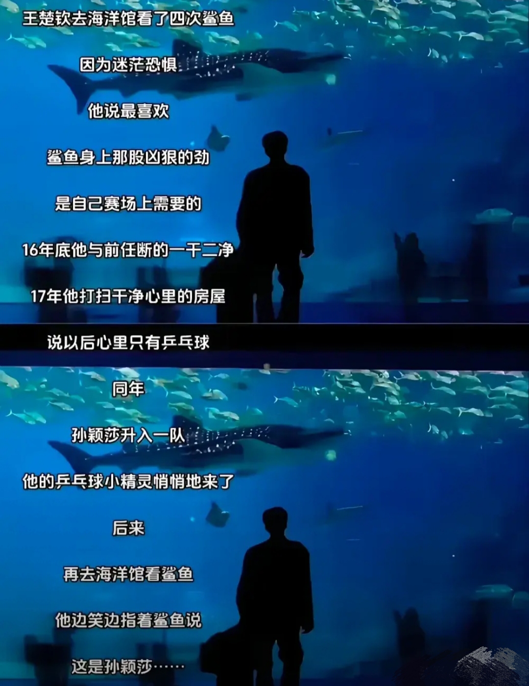 力挽狂澜：球队临危受命展现拯救之力