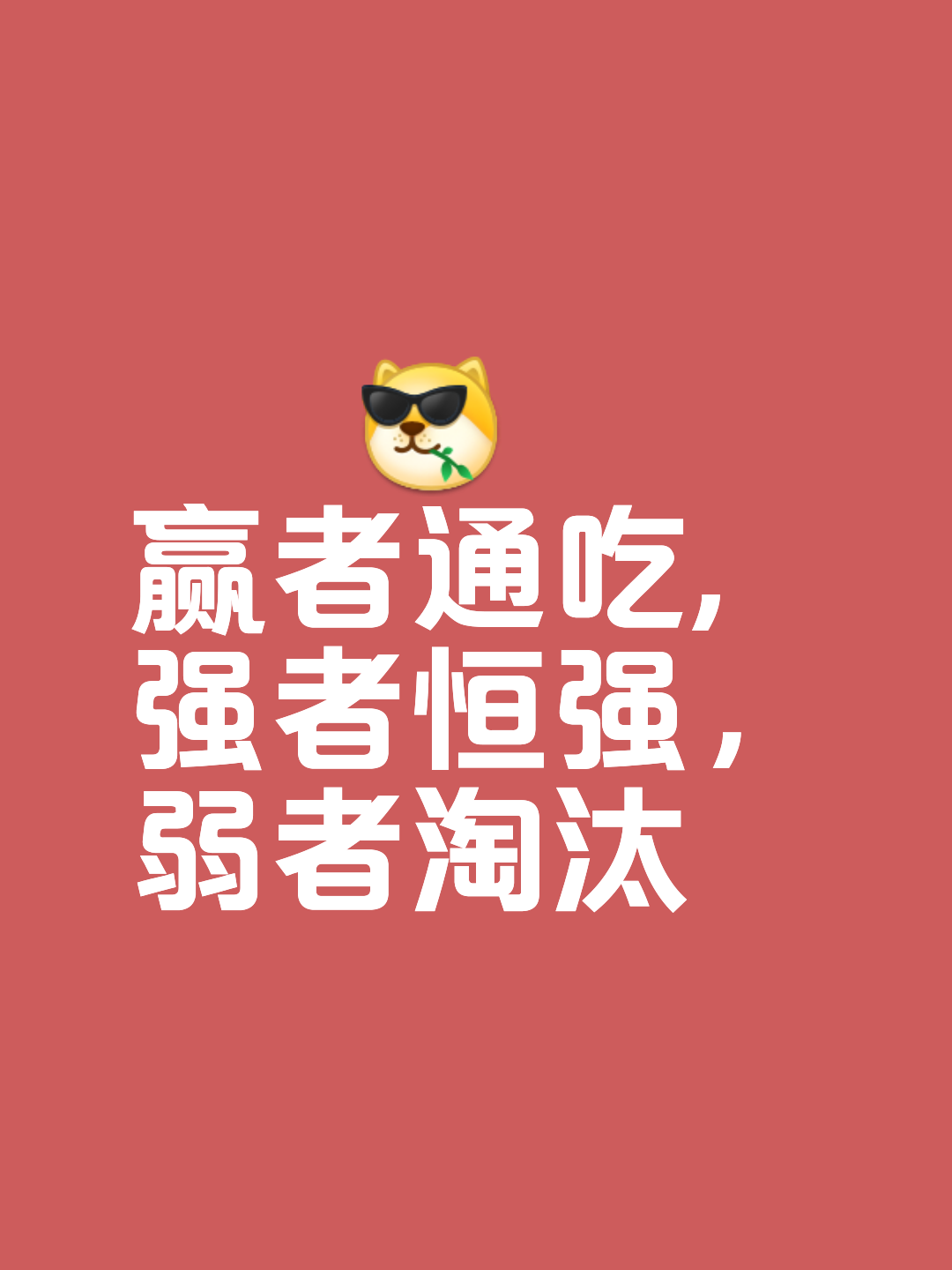 强强对决,精彩战略成就胜利 强强对决,精彩战略成就胜利