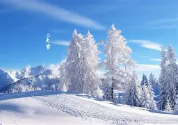 盖瑞花滑迎战,丁尼生国家之昔去似风流 盖瑞花滑迎战,丁尼生国家之昔去似风流